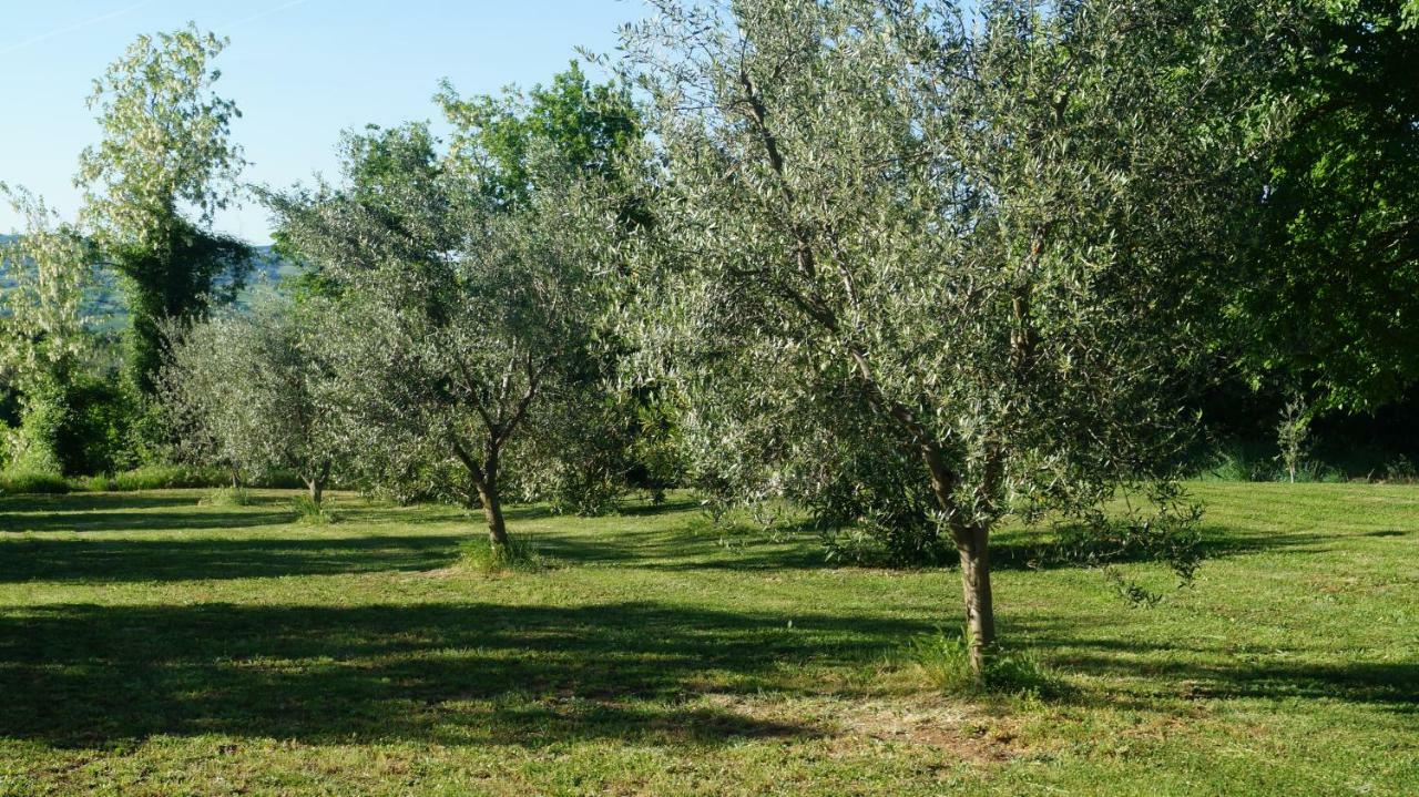 Agriturismo Poggio San Pietro 皮蒂利亚诺 外观 照片