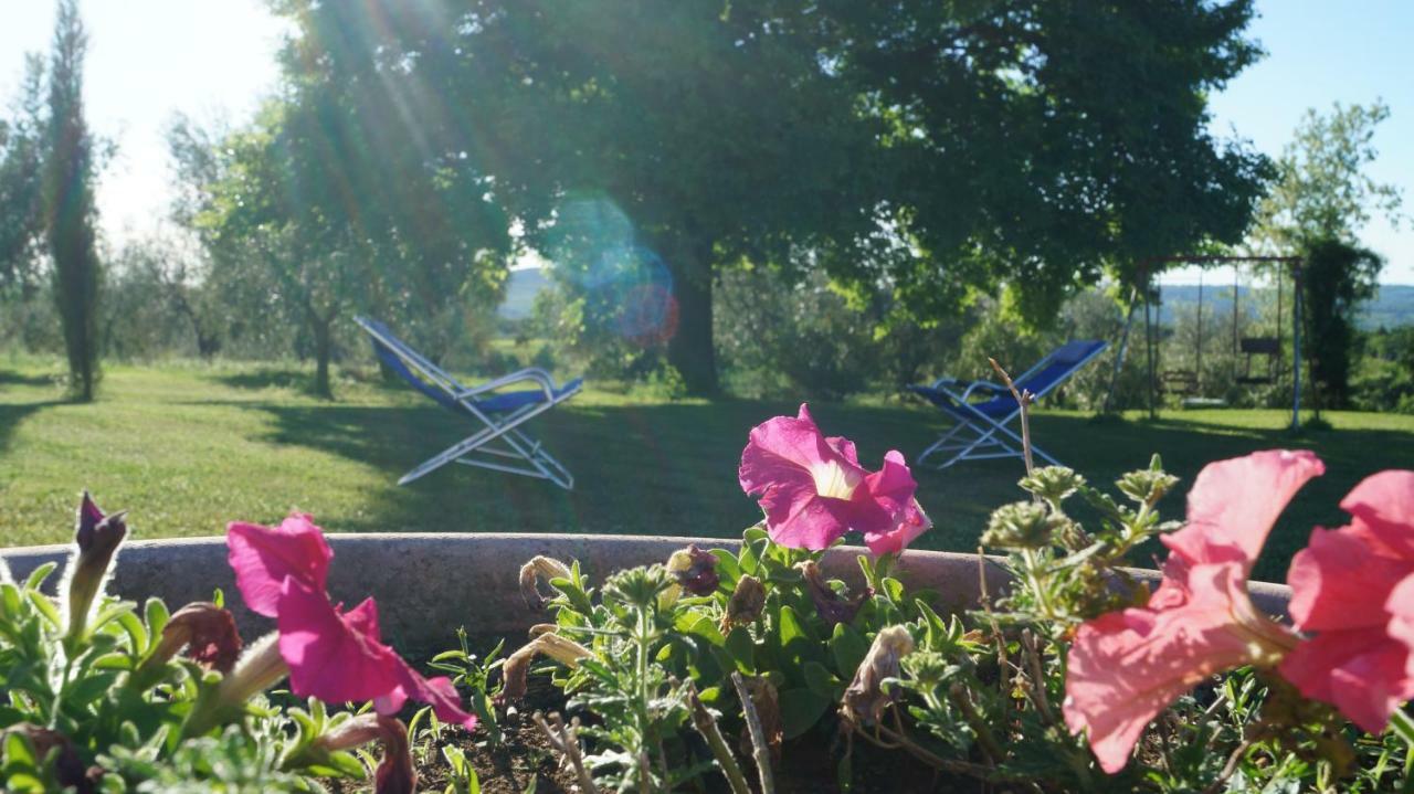 Agriturismo Poggio San Pietro 皮蒂利亚诺 外观 照片